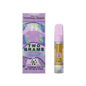 Blinkers 2g Tropical Grape